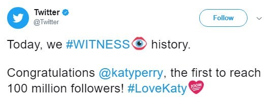 perry-twitter-zoowebsite.jpg