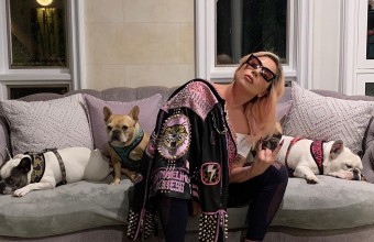 Lady Gaga: Πυροβόλησαν τον βοηθό της και έκλεψαν τα σκυλάκια της!