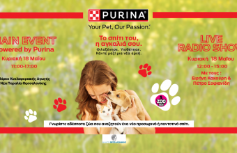 «Το Σπίτι του, η Αγκαλιά σου»:H επιτυχημένη πρωτοβουλία για λιγότερα αδέσποτα έρχεται στη Θεσσαλονίκη