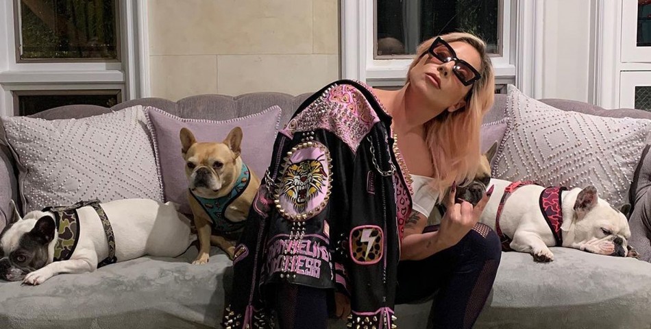 Lady Gaga: Πυροβόλησαν τον βοηθό της και έκλεψαν τα σκυλάκια της!